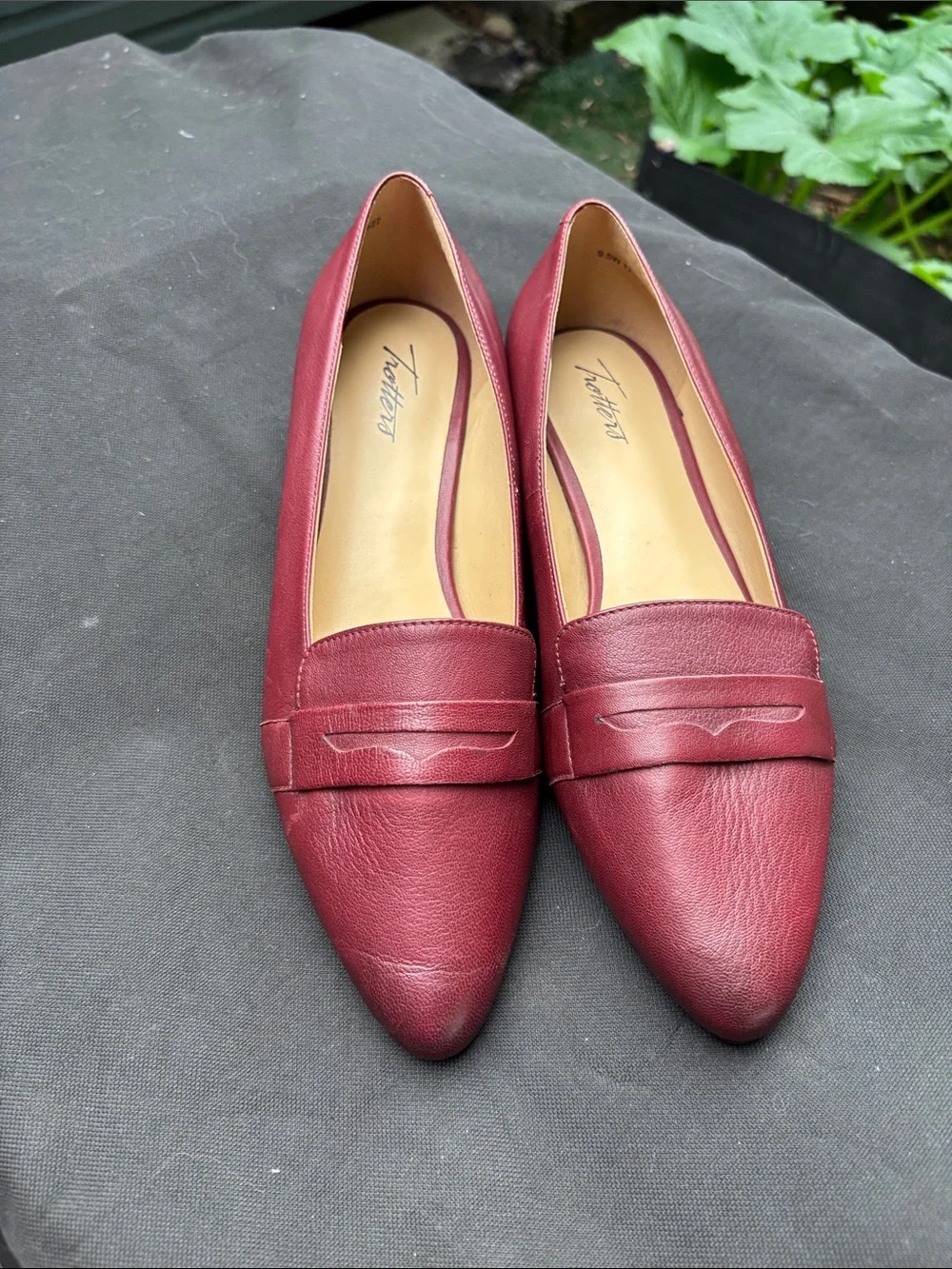 Trotters sleek pointed